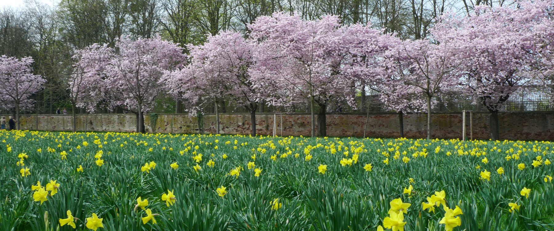 Frühling