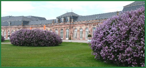 Frühling im Schlossgarten