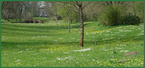 Frühling im Schlossgarten