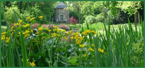 Frühling im Schlossgarten