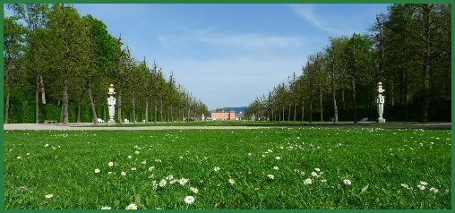 Frühling im Schlossgarten