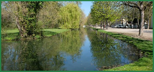 Frühling im Schlossgarten