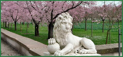 Frühling im Schlossgarten