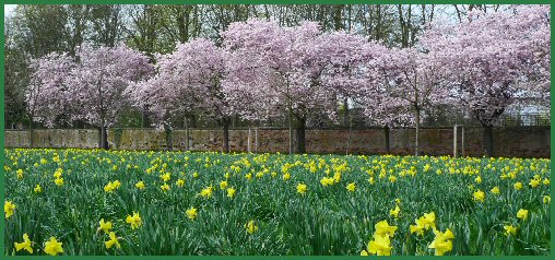 Frühling im Schlossgarten