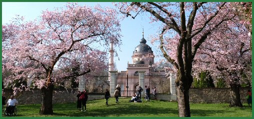 Frühling im Schlossgarten