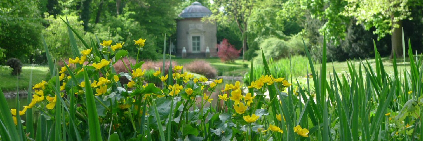 Schwetzingen Schlossgarten