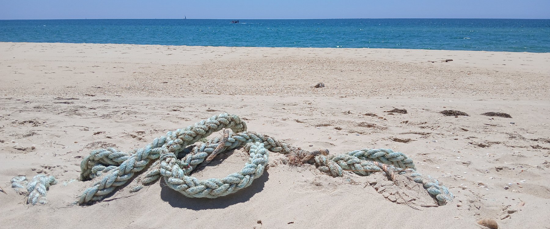 Album Strandwanderungen