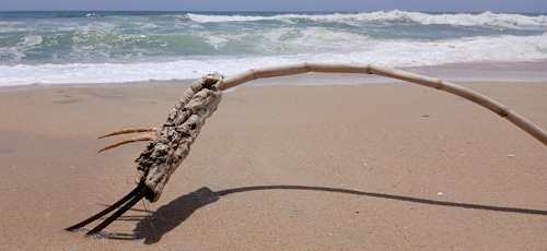 Strandwanderungen