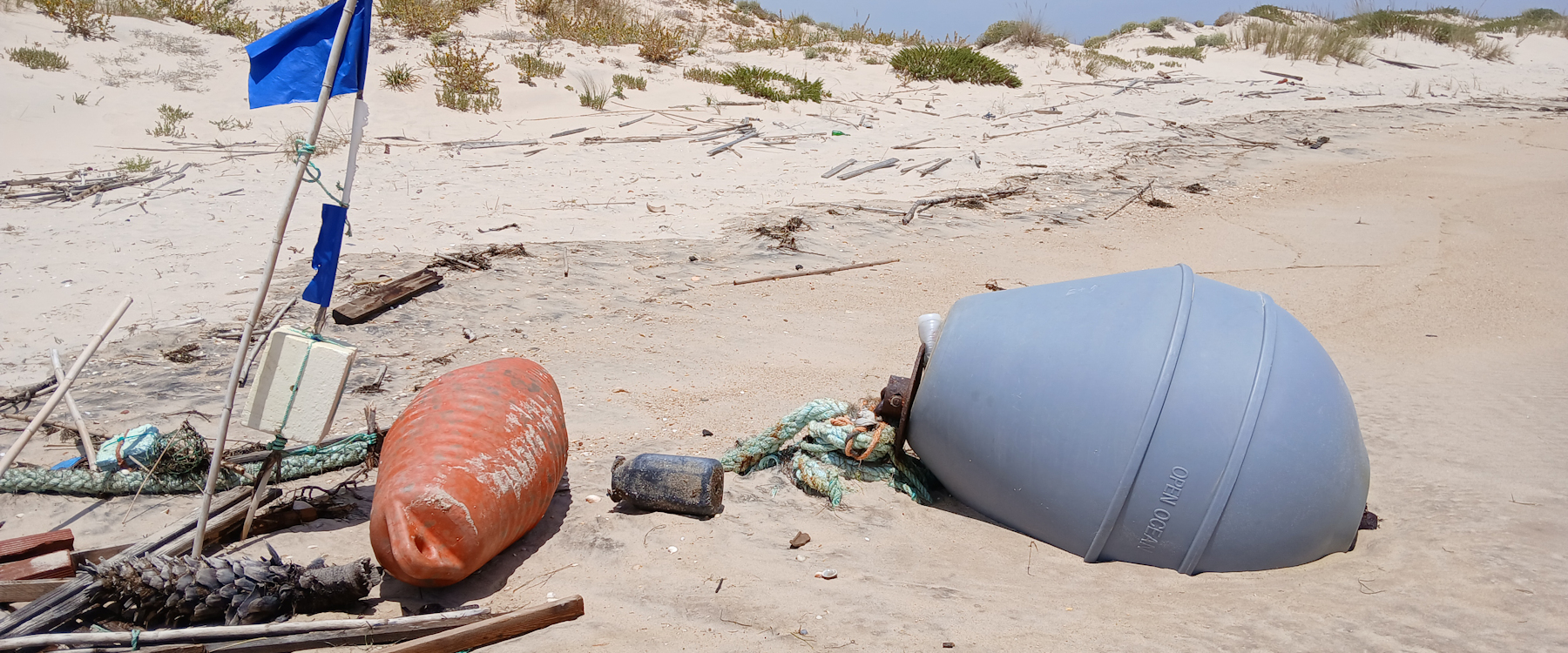 Album Strandwanderungen