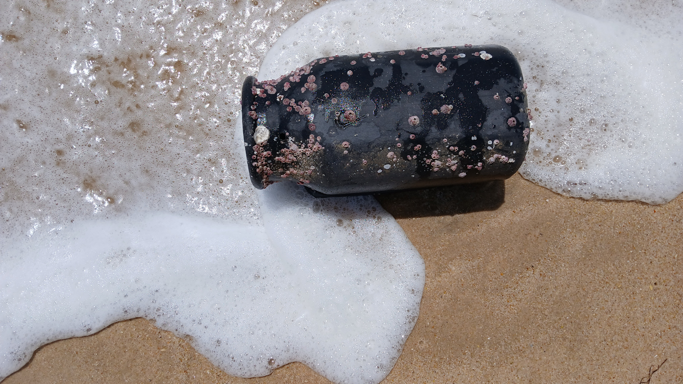 Album Strandwanderungen