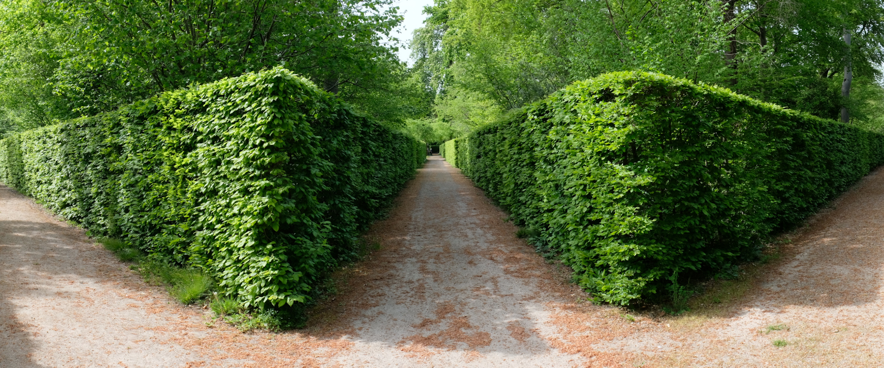 Schwetzinger Schlossgarten