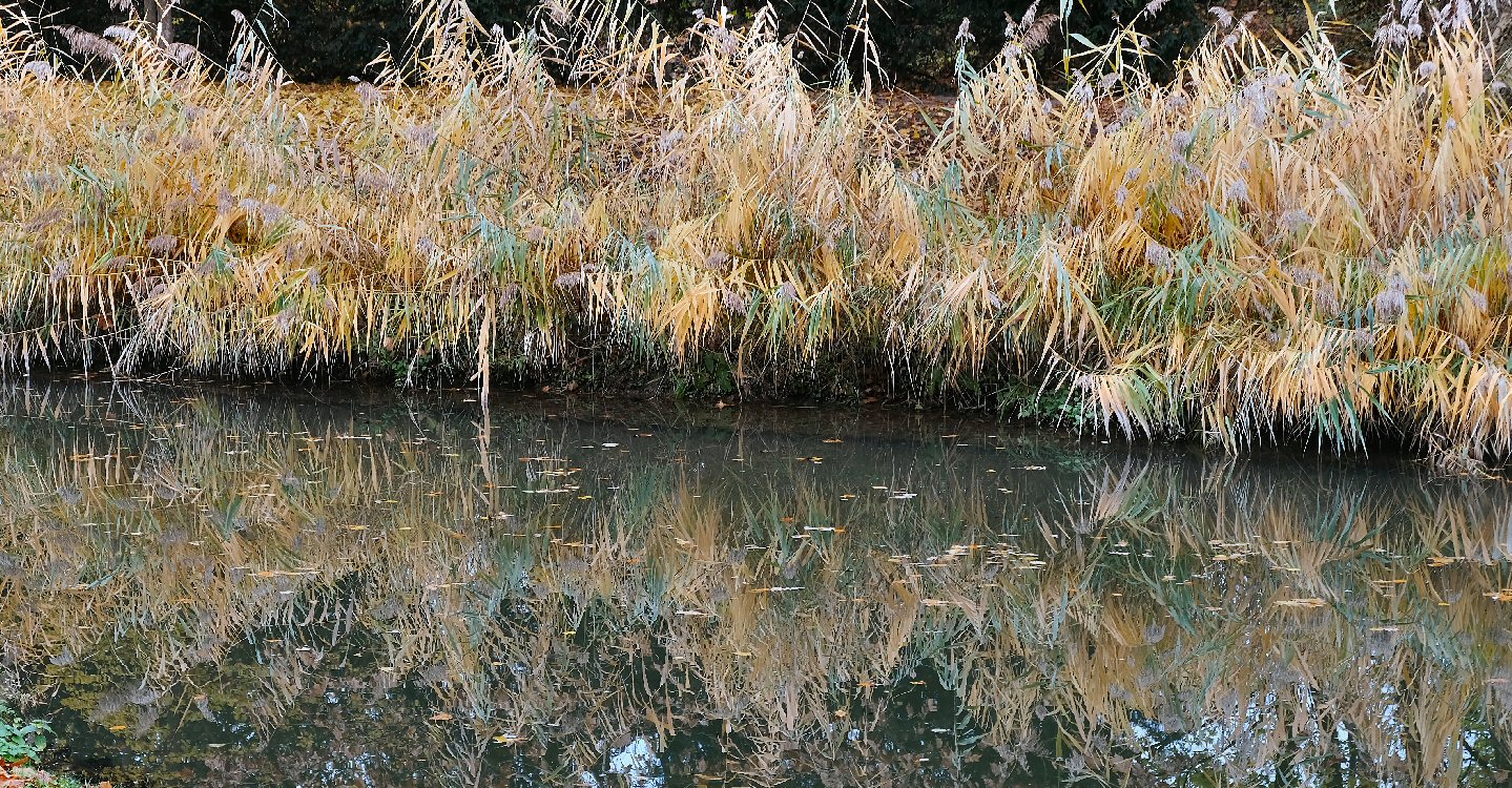 Reflexionen