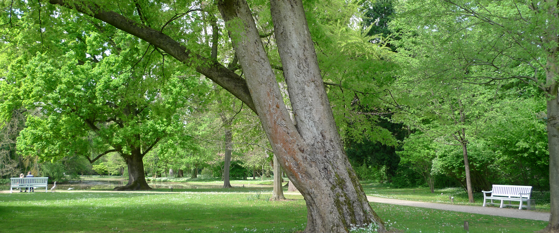 Schwetzinger Schlossgarten