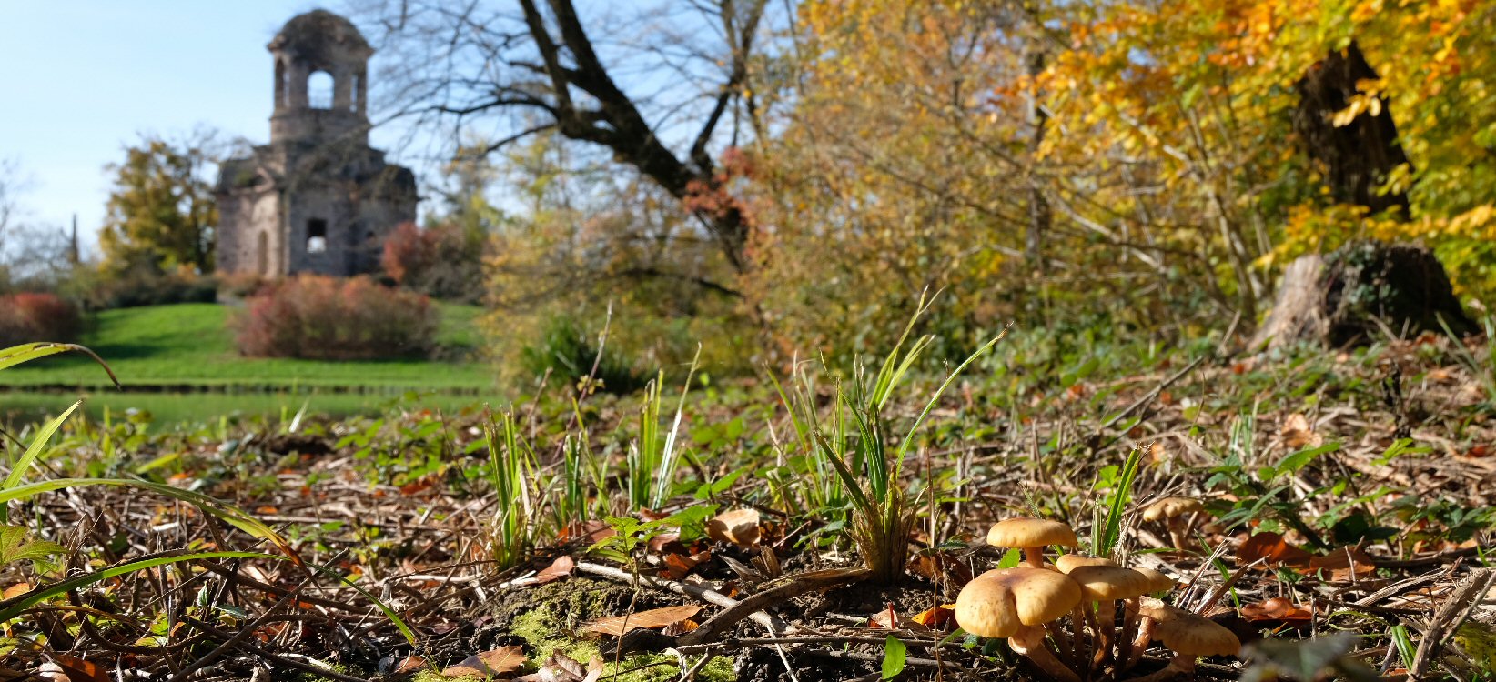 Herbst