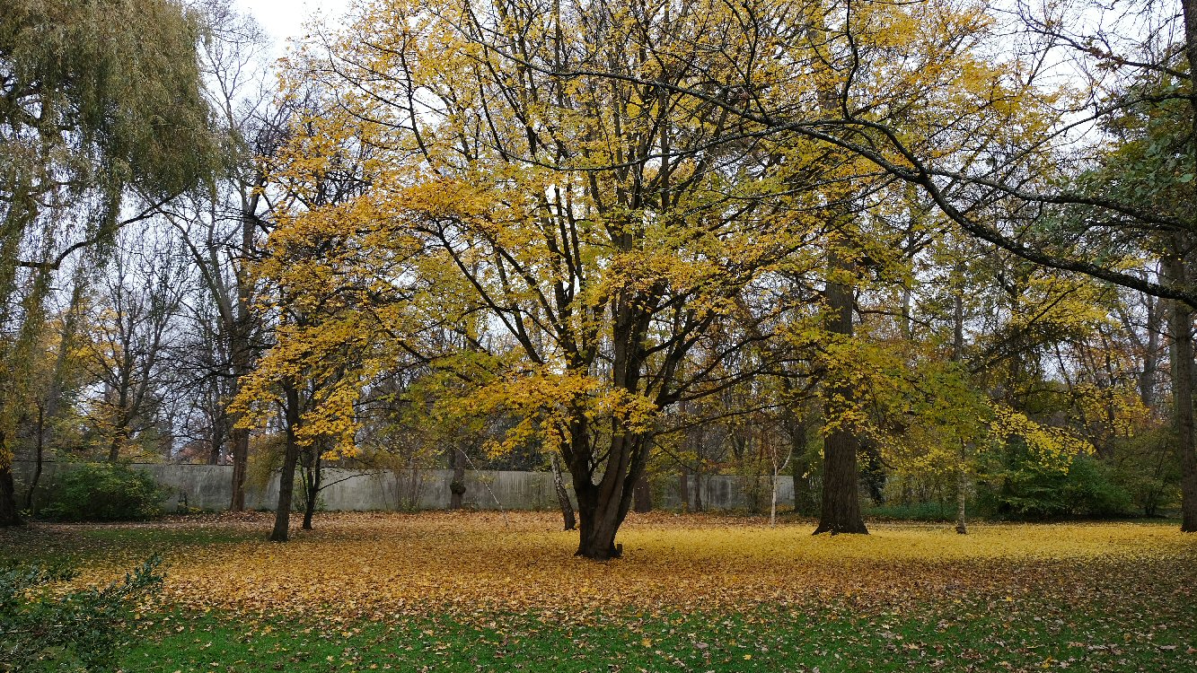 Herbst