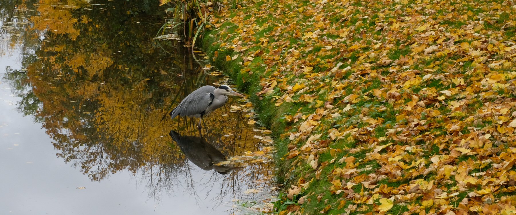 Herbst