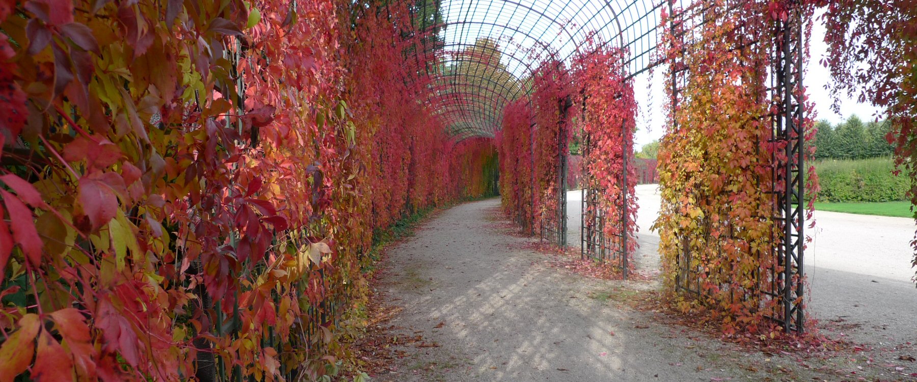 Herbst
