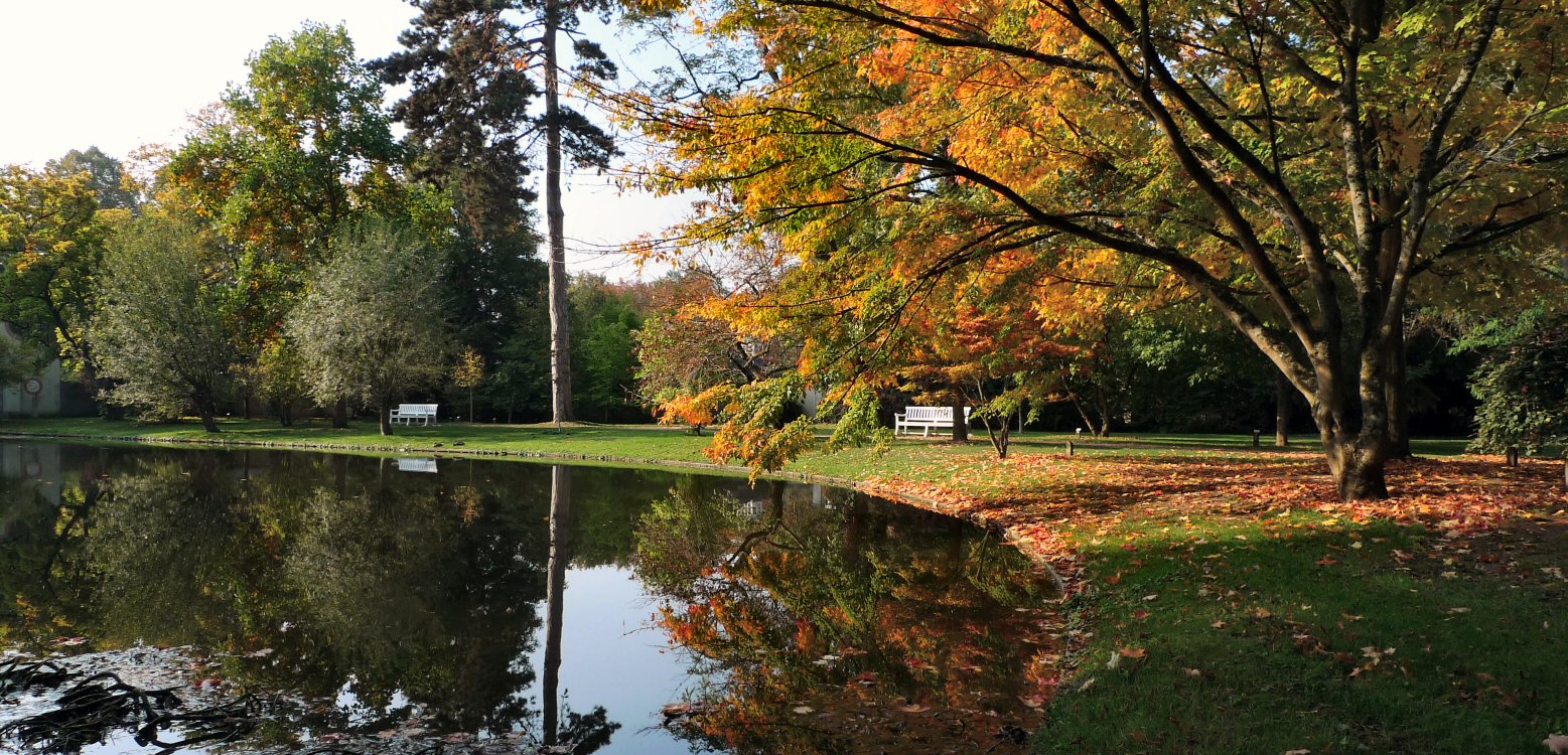 Herbst