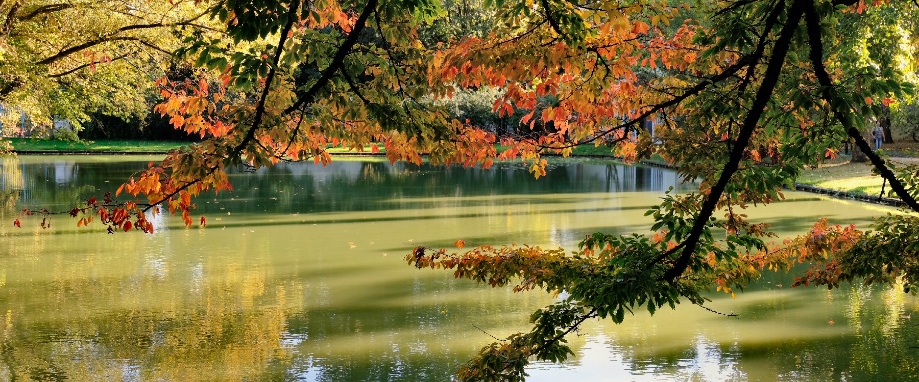 Herbst