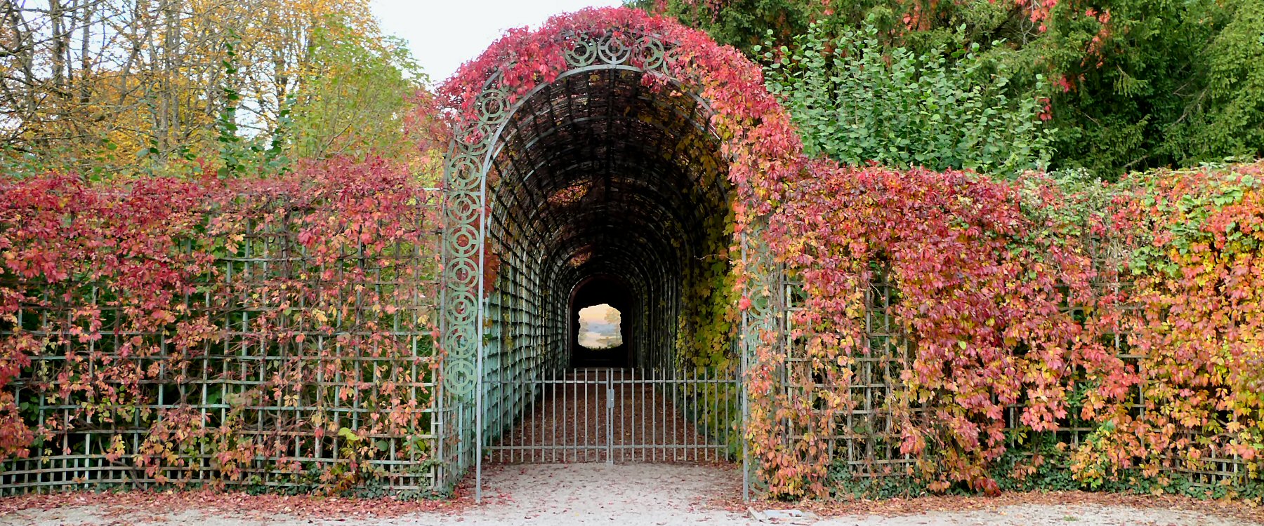 Herbst