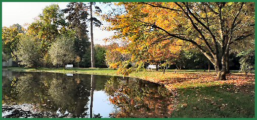 Herbst im Schlossgarten