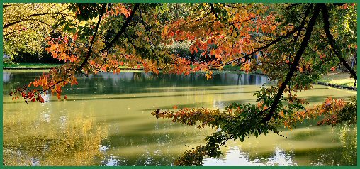 Herbst im Schlossgarten